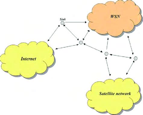 Validator Nodes: The Backbone